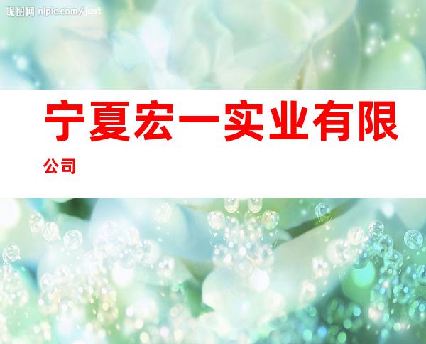 宁夏宏一实业有限公司